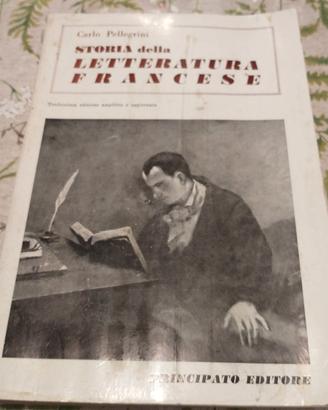 Storia della letteratura francese 
