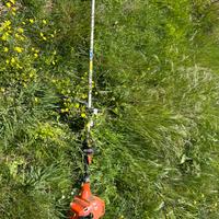 Decespugliatore Echo