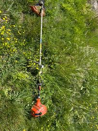 Decespugliatore Echo