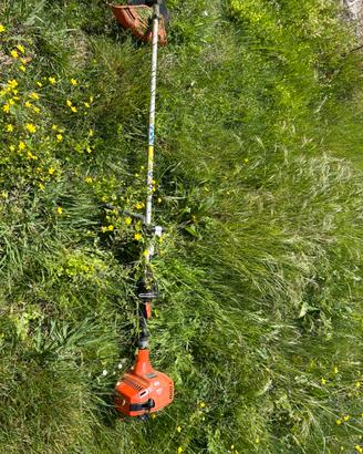 Decespugliatore Echo