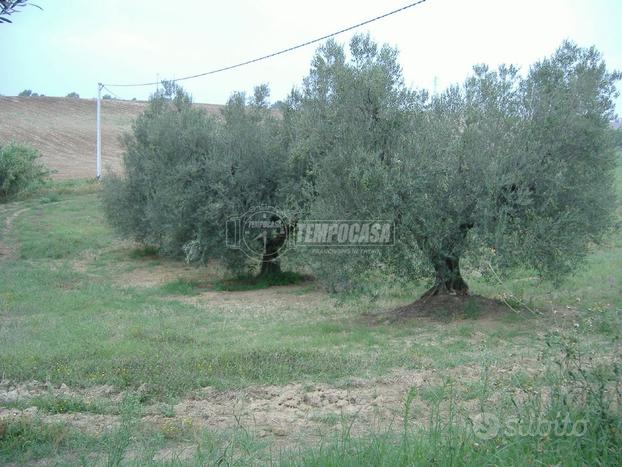 Rustico a Montalto di Castro 1 locali