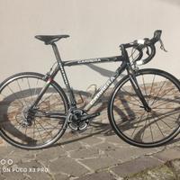 Bicicletta Carrera Cattivo in carbonio