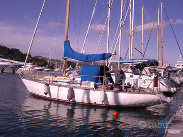 Panda 29 barca a vela