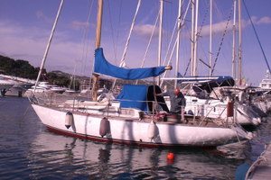 Panda 29 barca a vela