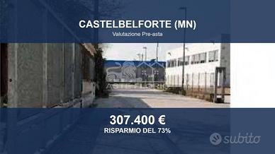 Immobile in asta di 2043 m² a Castelbelforte