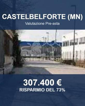 Immobile in asta di 2043 m² a Castelbelforte