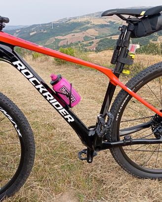 MTB carbonio 29 bici