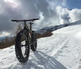 Bicicletta Specialized