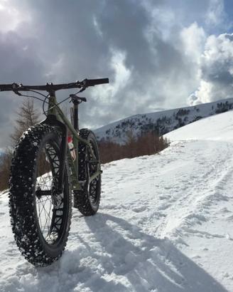 Bicicletta Specialized