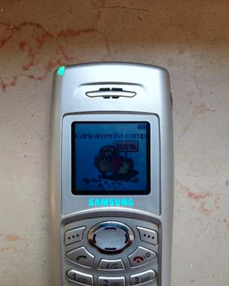 Telefonino Vintage Samsung SGH-C100