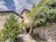 Immagine 11