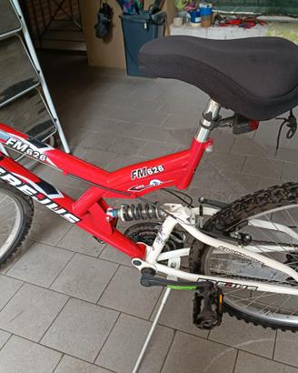 bici  mountain bike