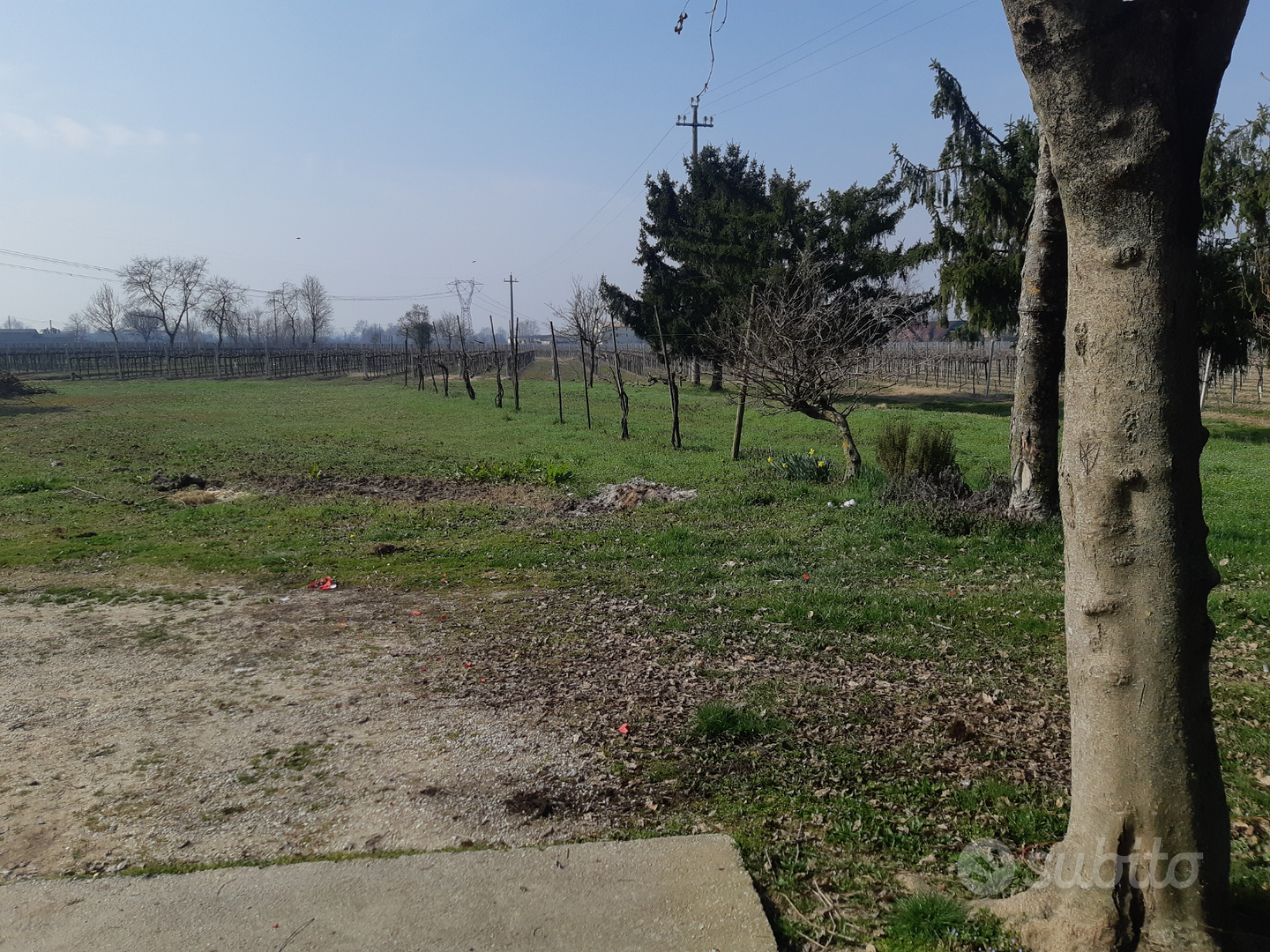Villa singola piano rialzato e seminterrato - Vista 5