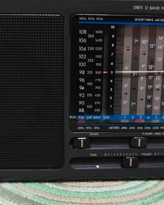 Radio 12-Band World Receiver D1875 /00