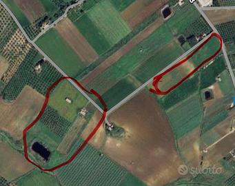 Terreni agricoli con vista Egadi e fabbricati