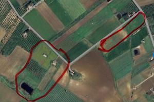 Terreni agricoli con vista Egadi e fabbricati