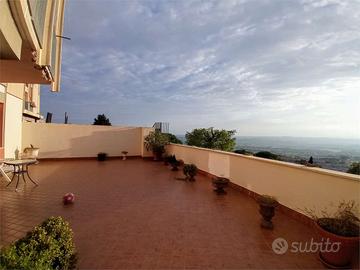 V003739 OSIMO via Michelangelo