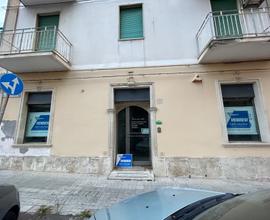 Gelone - basso commerciale