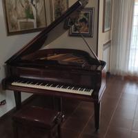 Pianoforte quarto di coda