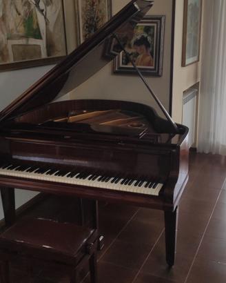 Pianoforte quarto di coda