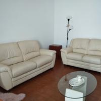 Coppia di divani in vera pelle