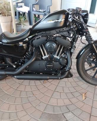 Harley sportster 1200