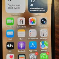  telefono 12 Pro Max usato 