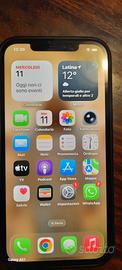  telefono 12 Pro Max usato 