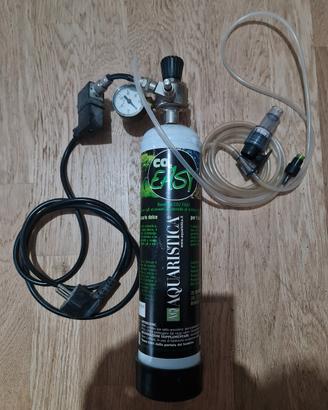 impianto co2 acquario 