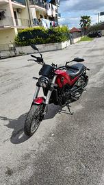 Benelli Leoncino 500 trail