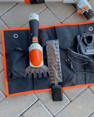 Taglia bordi piu siepi