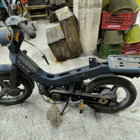 Grillo piaggio
