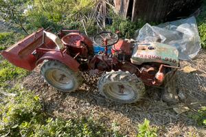 Trattore pasquali 910