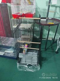 GABBIE, VOLIERE, TRESPOLI,ALIMENTI ED ACCESSORI
