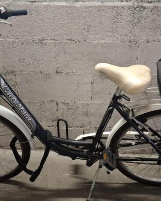 Bicicletta donna
