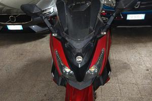 tagliandato e perfetto 