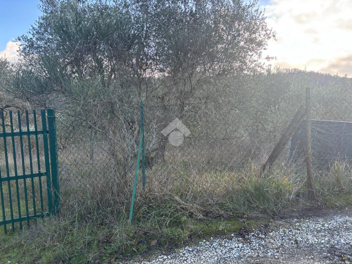 TER. AGRICOLO A SCANDICCI - Vista 2