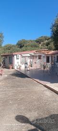 terreno con casa di campagna 