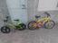 Immagine 3