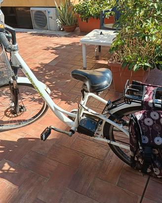 Bicicletta Elettrica Biwik