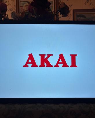 Televisore akay 24” funzionate