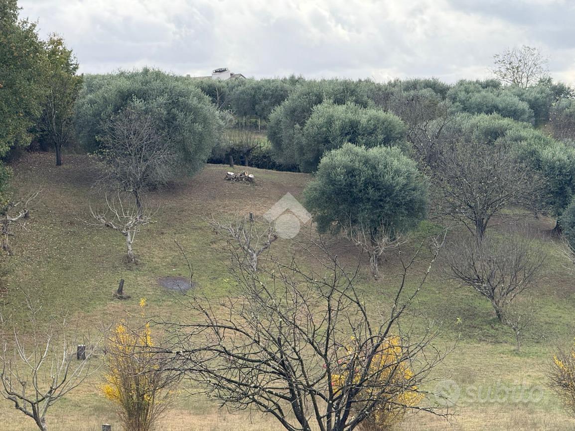TER. AGRICOLO A SANT'ANGELO ROMANO - Vista 4