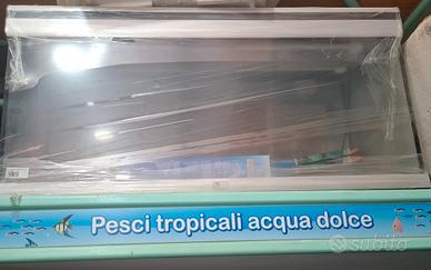 Acquario 