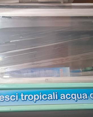 Acquario 