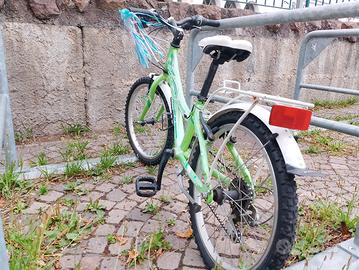 Bici Junior "Flipper" 