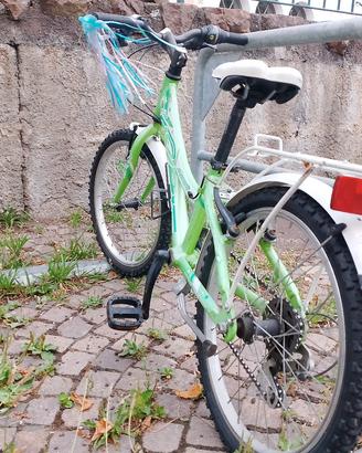 Bici Junior "Flipper" 