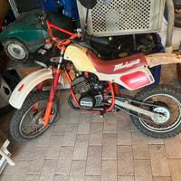 Mini moto. Grezzly