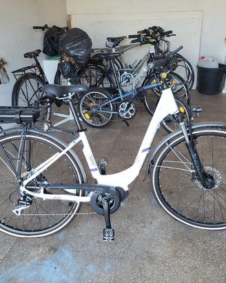 Bicicletta elettrica olmo