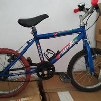 Bicicletta Faltoni bimbo