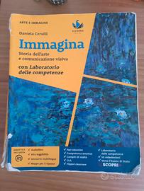 immagina arte e immagine libro cervilli